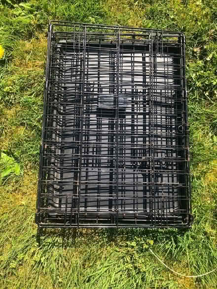 Photo of free 2 Pet Kennels (Aurora) #1