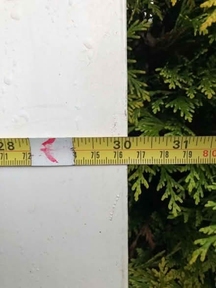 Photo of free Interior glass panelled door (Hebburn NE31) #3