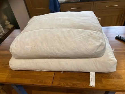 Photo of free Sofa cushions (Ashurst) #1