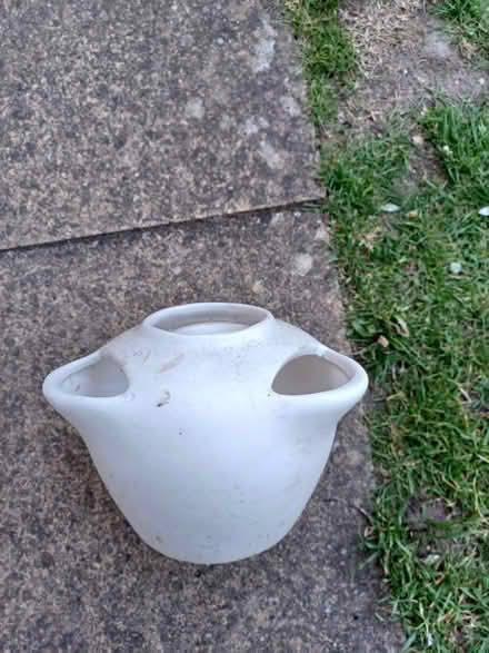 Photo of free Herb pot (East Harling NR16) #1