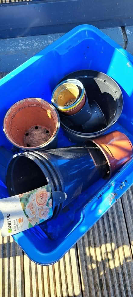 Photo of free Assorted plant pots (Bridge of Don) #1