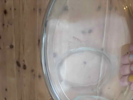 Photo of free Pyrex dishes (N13) #1