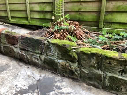 Photo of Reclaimed bricks (Streatham SW16) #2