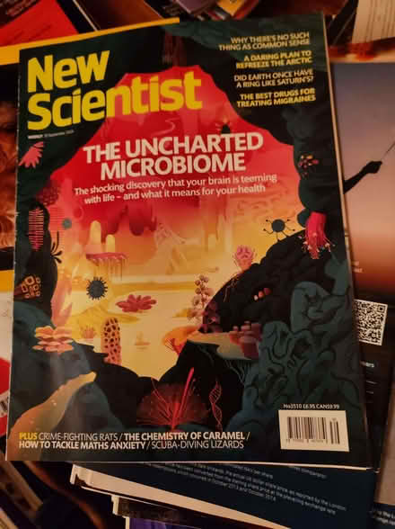 Photo of free New Scientist magazines (May - September 2024) (Marsden HD7) #1