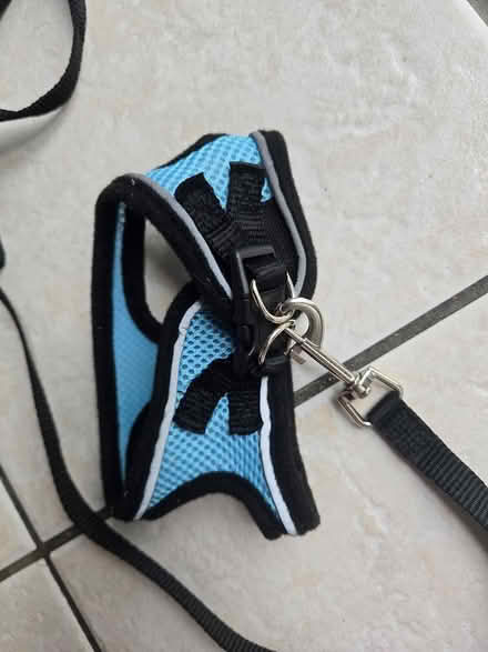 Photo of free Cat harness (IG6 3s) #2