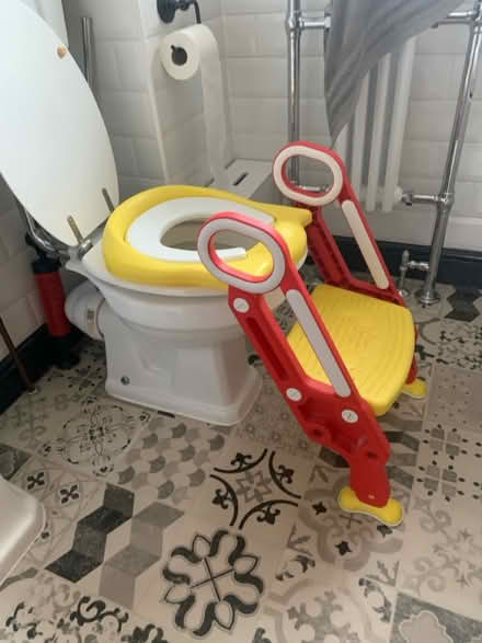 Photo of free Toddler toilet steps (SL2 britwell) #2