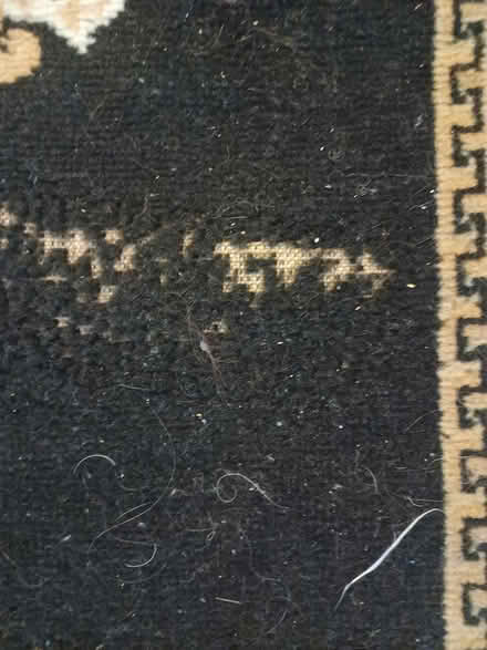 Photo of free rugs (Bellevue BCC area) #1
