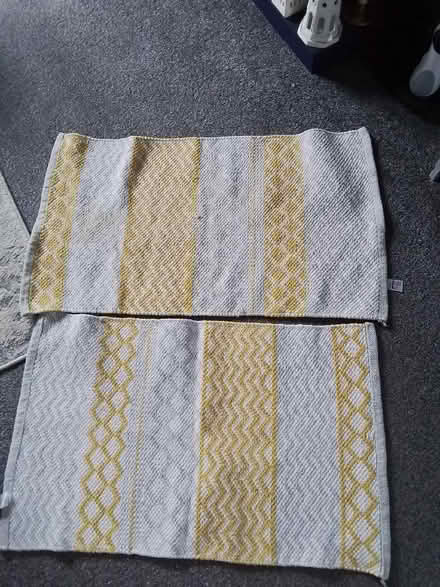 Photo of free 2 Bath mats (Granton EH5) #1