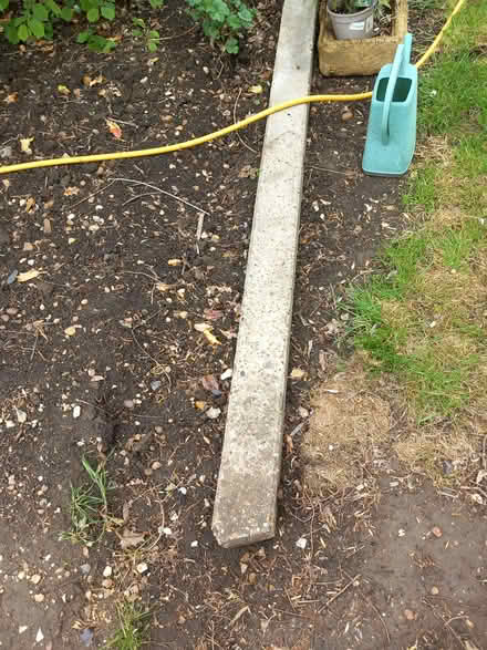 Photo of free 7ft concrete fence posts (Blunham) #2