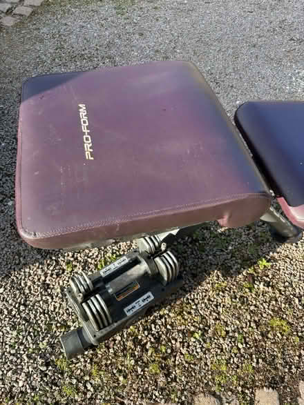 Photo of free Weight bench (Edwalton NG12) #3
