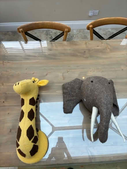 Photo of free Childs wall mounted stuffed animals (Leckhampton GL53) #1