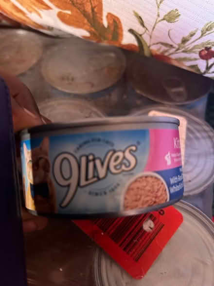 Photo of free cat food (Lowell, MA) #4