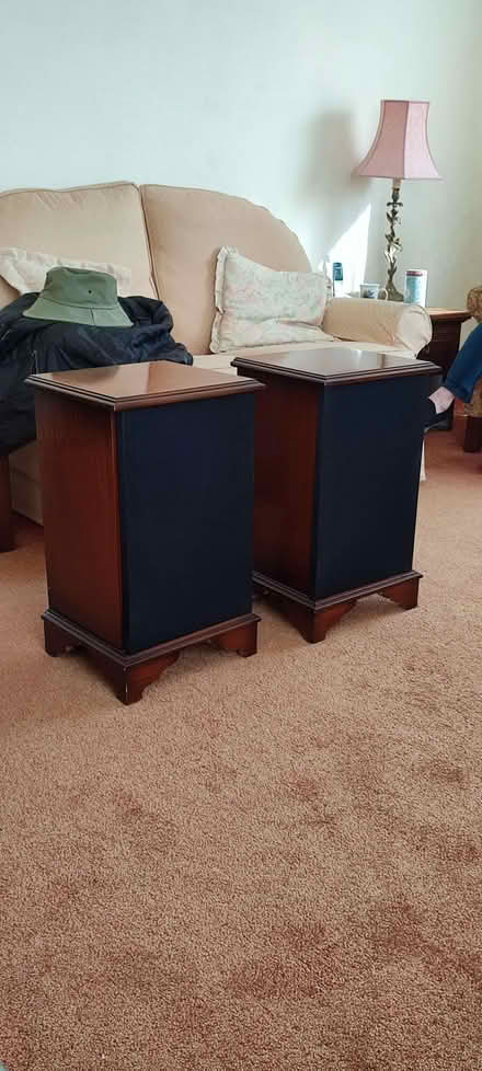 Photo of free Dark wood (mahogany) Speaker shell cabinets (Sigglesthorne HU11) #1