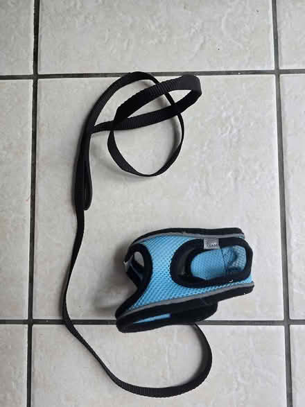 Photo of free Cat harness (IG6 3s) #1