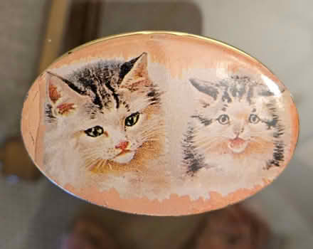 Photo of free Small cat tin (Cleveland Park) #1