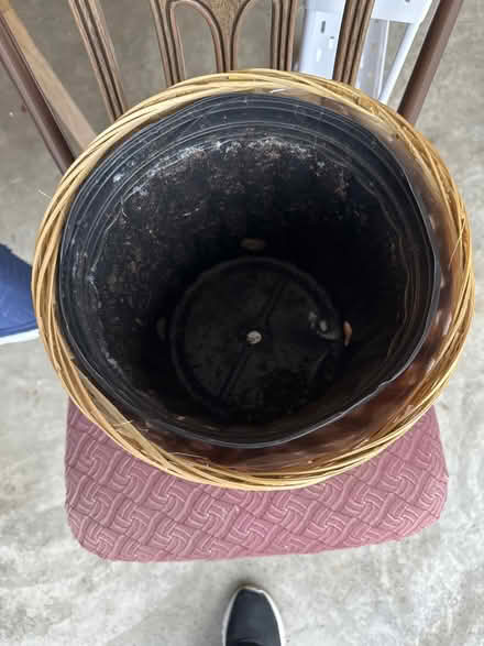 Photo of free Plant basket with liner (Elmhurst area) #2