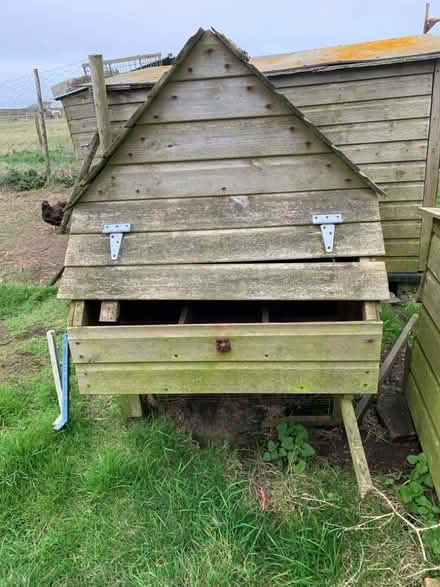 Photo of free Chicken house in need of some tlc but usable (Cornwall AONB TR19) #1