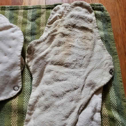 Photo of free Reusable menstrual supplies (Ann Arbor Northwest Side) #2