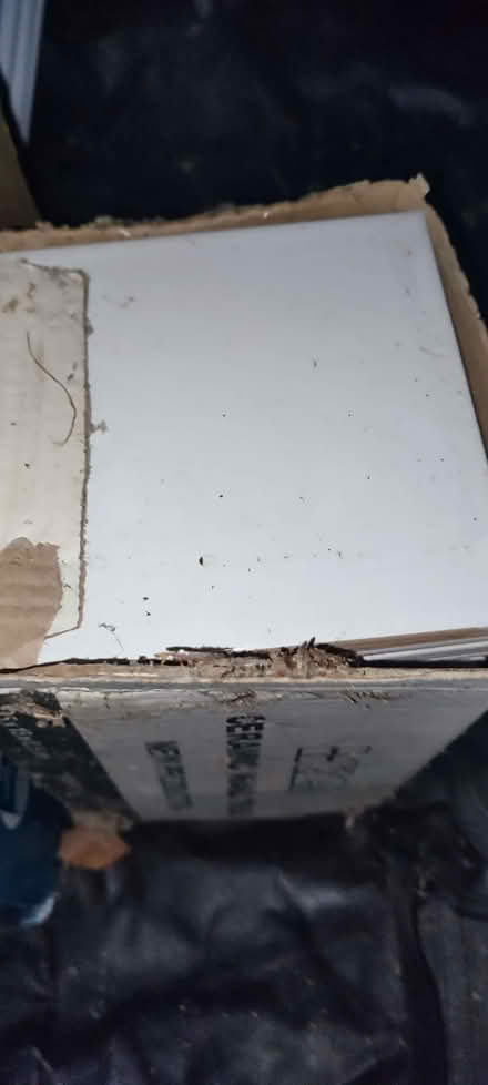 Photo of free New, unused tiles, full box. White 15cm x 15cm x 0.5 cm (Sigglesthorne HU11) #2