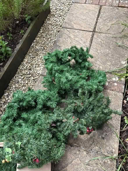Photo of free Christmas garland/swags (Michelmersh, Romsey) #1