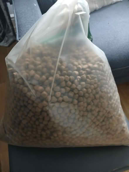 Photo of free Harrington Adult Dog food (Iver Heath SL00BZ) #1