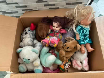 Photo of free Stuff animals and Dolls (Bellerose) #1