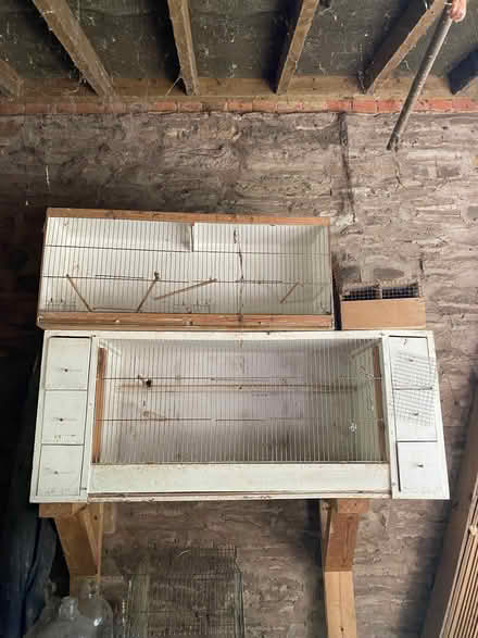 Photo of free Bird cages (Stoke Prior HR6) #1