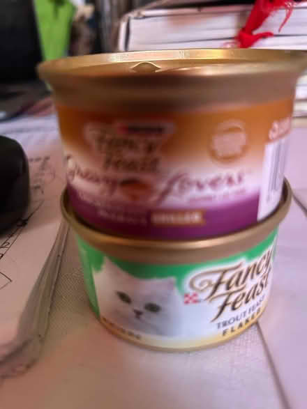 Photo of free cat food (Lowell, MA) #2