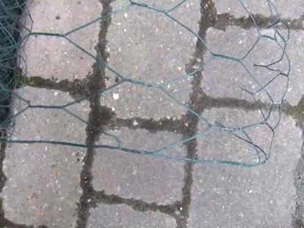 Photo of free Green plastic coated chicken wire, large mesh (Baldock SG7) #2