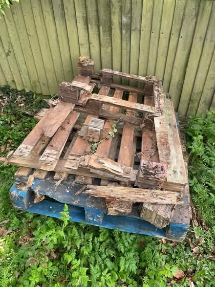 Photo of free Pallets - firewood (Berkhamsted HP4) #1
