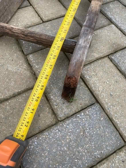 Photo of free Clematis or the like climbing ladder (Batheaston) #3
