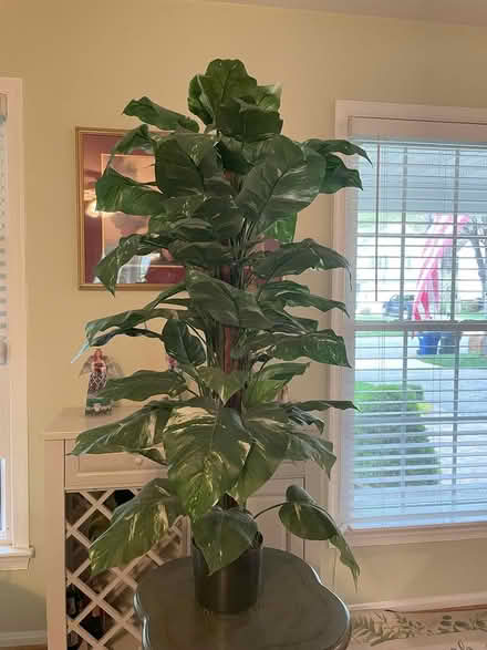 Photo of free Artificial plants (Burke, VA) #4