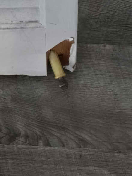 Photo of free Louvered doors (Wards Corner) #3