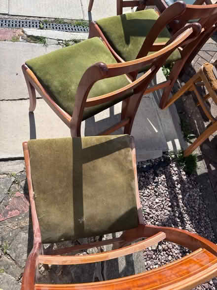 Photo of free 4 dining chairs (N13) #2
