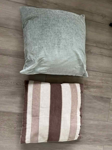 Photo of free 4x scatter cushions (Staines TW18) #1