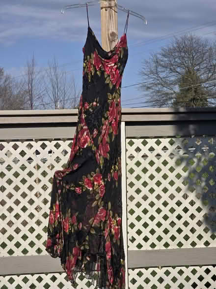 Photo of free Formal Silk Gown (Rush) #1