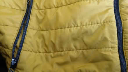 Photo of free Mustard mens XL lightly padded coat (Shipley) #2