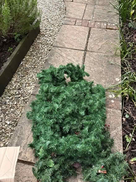 Photo of free Christmas garland/swags (Michelmersh, Romsey) #2