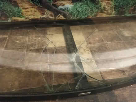 Photo of free 4 ft fish tank cracked bottom (M14) #2
