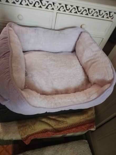 Photo of free Cat/dog bed (St Leonards TN38) #1