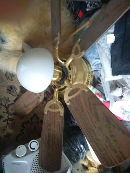 Photo of free Electric Ceiling fan (Wallasey CH44) #2