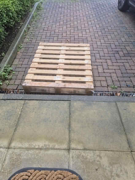 Photo of free Pallet (BR8) #1