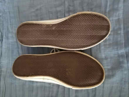 Photo of free Grey-green canvas shoes size 5 (Gloucester) #2