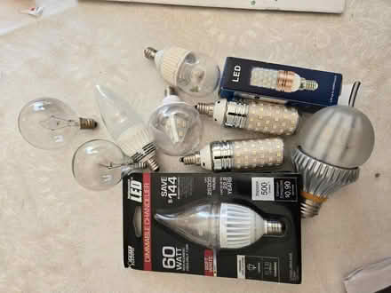 Photo of free Unusual bulbs (Potomac Rockville) #1