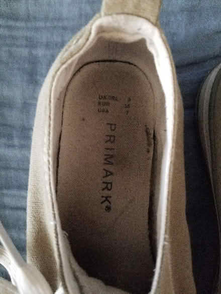 Photo of free Grey-green canvas shoes size 5 (Gloucester) #4