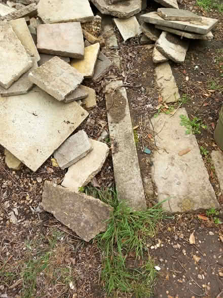Photo of free 7ft concrete fence posts (Blunham) #3
