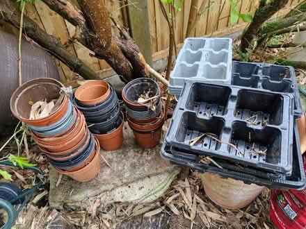 Photo of free Plastic plant pots and module trays (Shirley CR0) #1