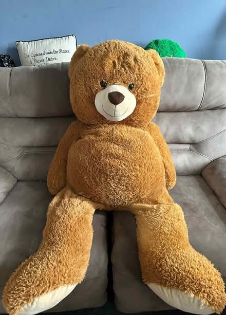 Photo of free Giant bear family (Eaton, NR4) #4