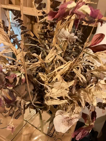 Photo of free Large Arrangement (Utica-Shelby) #1