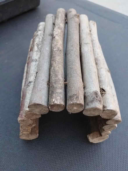 Photo of free Wooden tunnel for Guinea pig (Eastlands CV21) #2